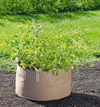 1-1000 Gallon Fabric Plant Grow Bag